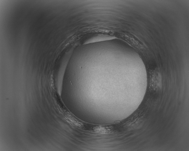 X0000083550616200702240113