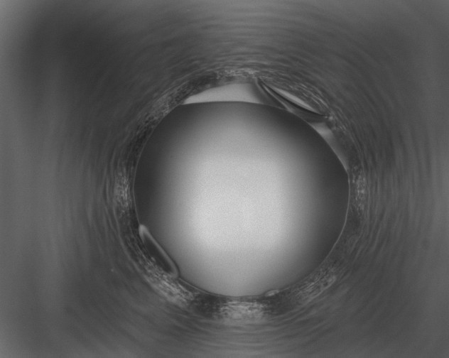 X0000083550617200702240113
