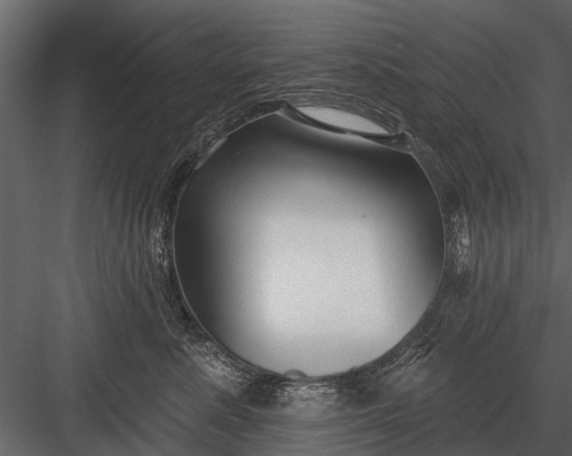 X0000083550619200702240113