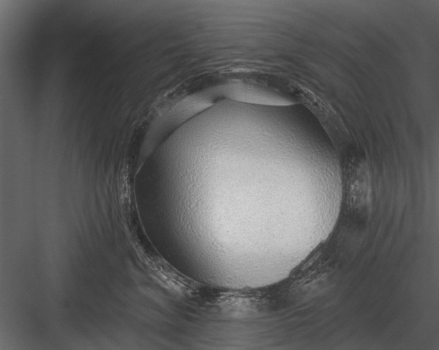 X0000083550620200702240113