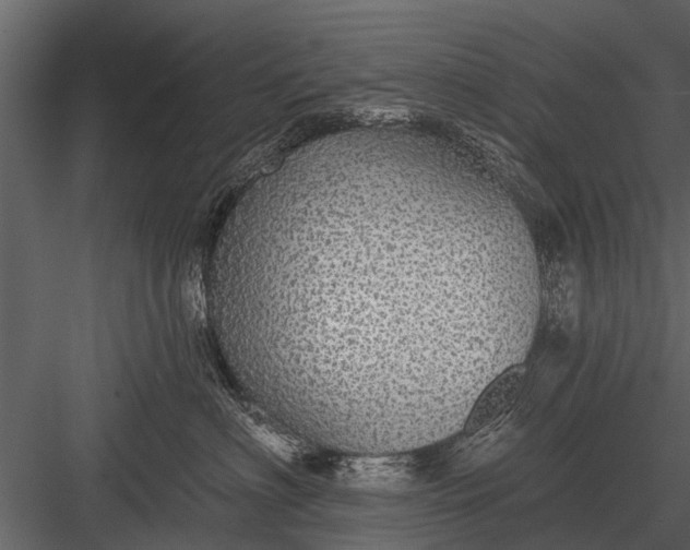 X0000083550622200702240113