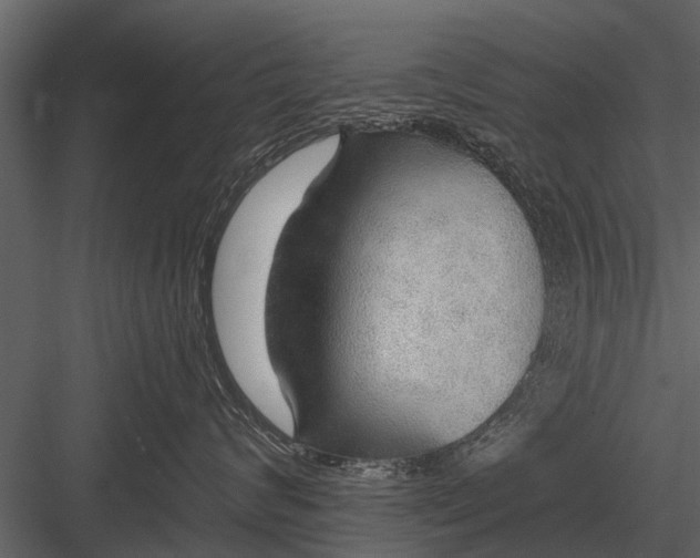 X0000083550624200702240113