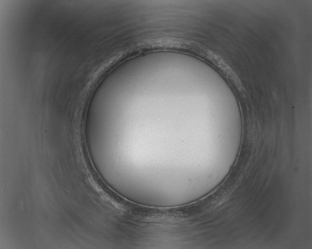 X0000083550625200702240112