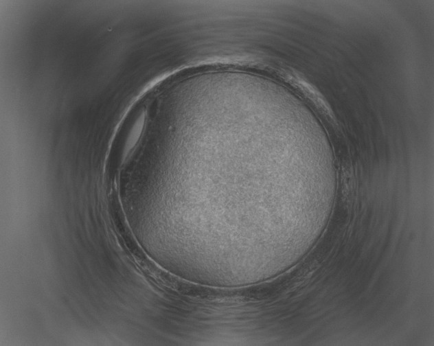 X0000083550628200702240112
