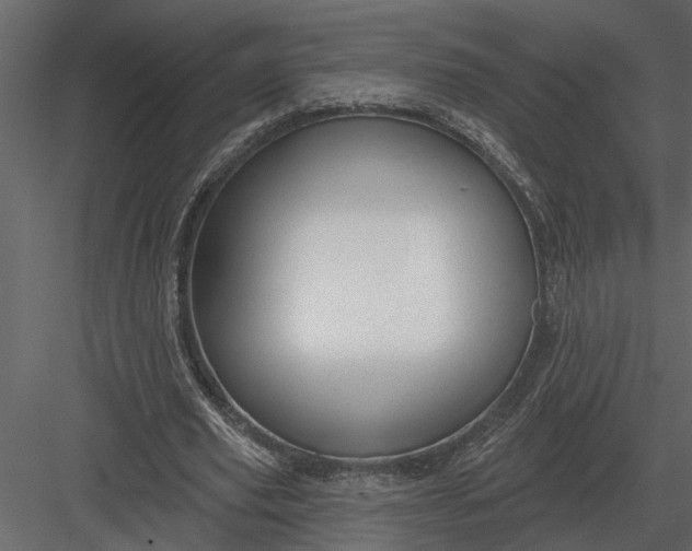 X0000083550629200702240112