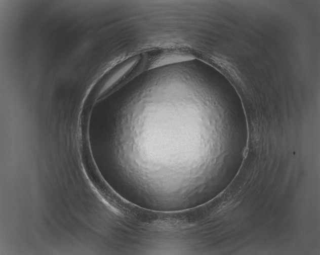 X0000083550630200702240112