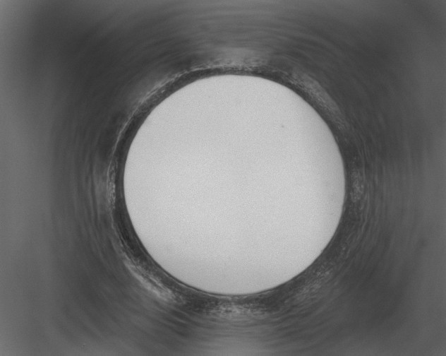 X0000083550632200702240112