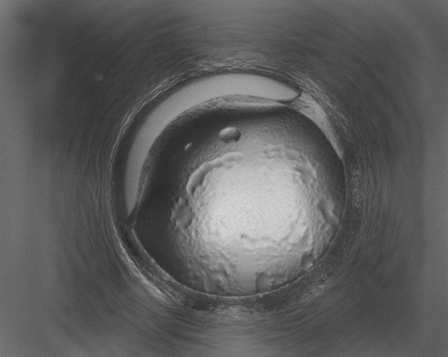 X0000083550634200702240112