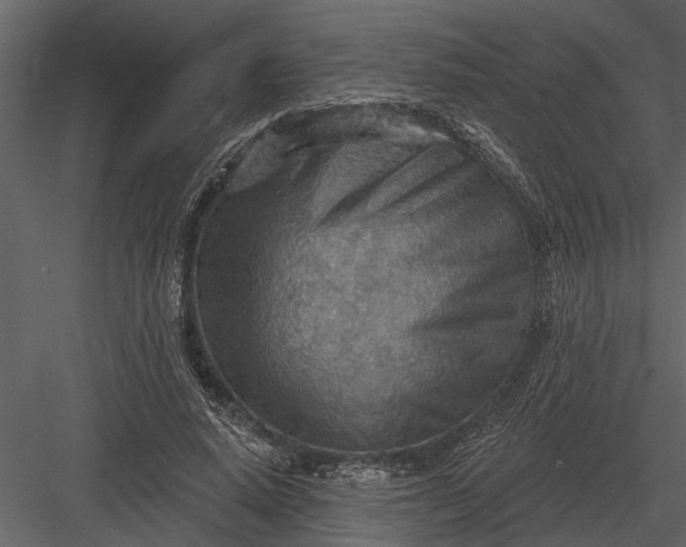 X0000083550640200702240112