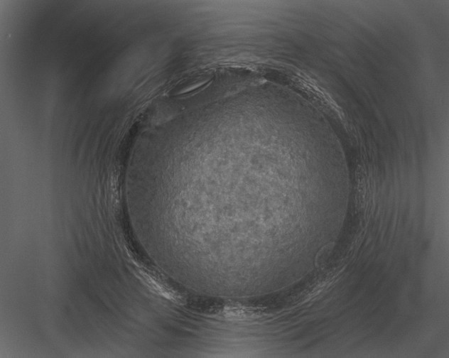 X0000083550641200702240112