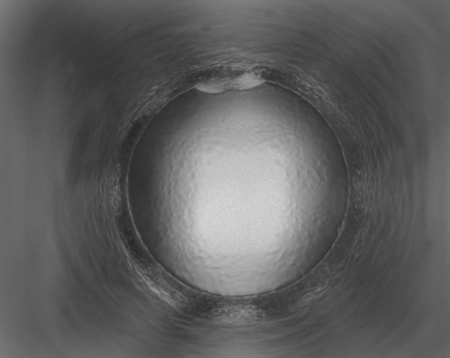 X0000083550642200702240112