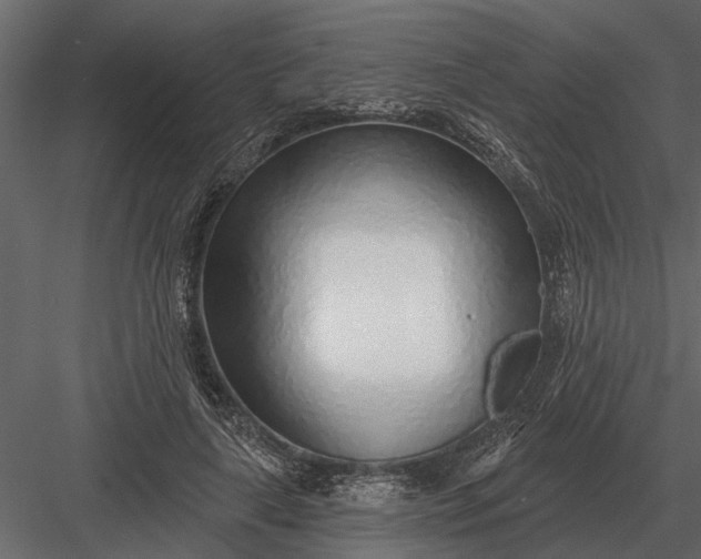 X0000083550643200702240112