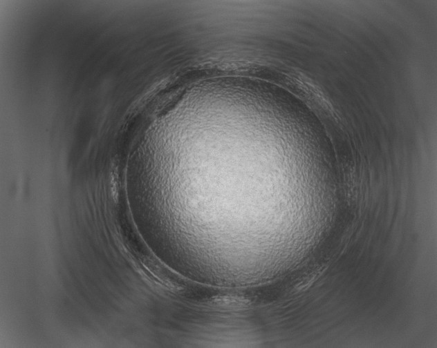 X0000083550644200702240112
