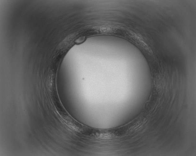 X0000083550645200702240112