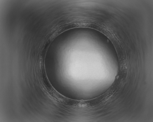 X0000083550647200702240112