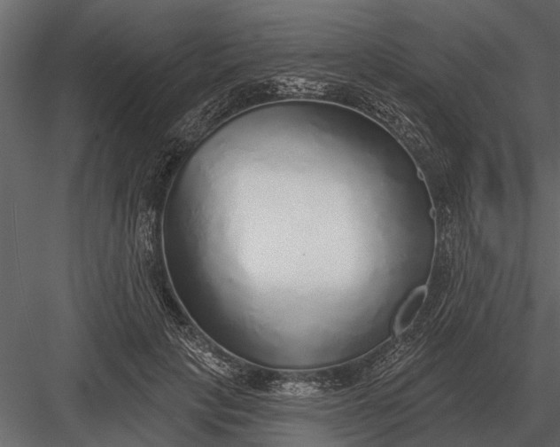 X0000083550649200702240112