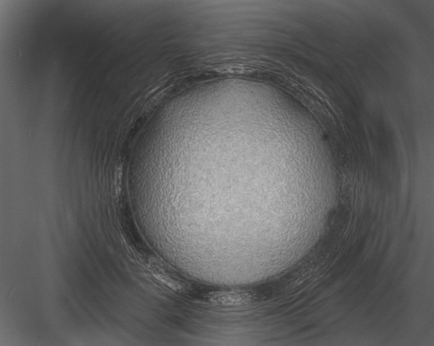 X0000083550652200702240112