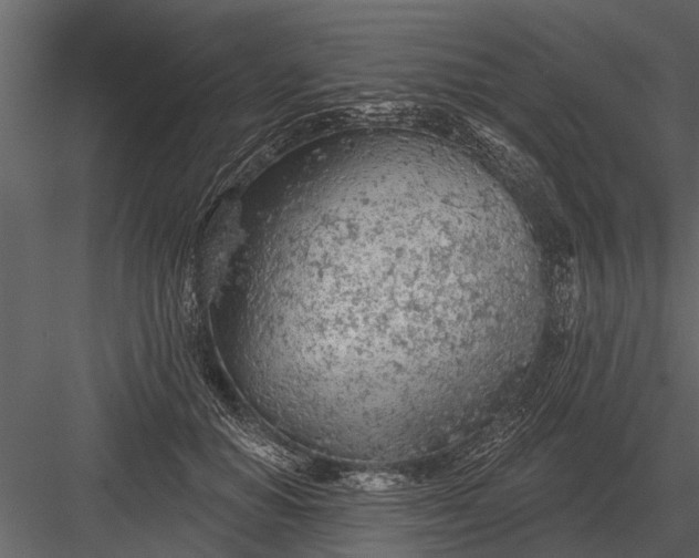 X0000083550654200702240112