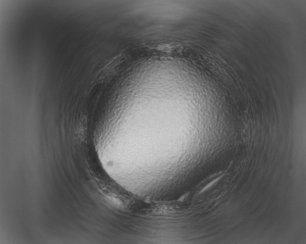 X0000083550656200702240112