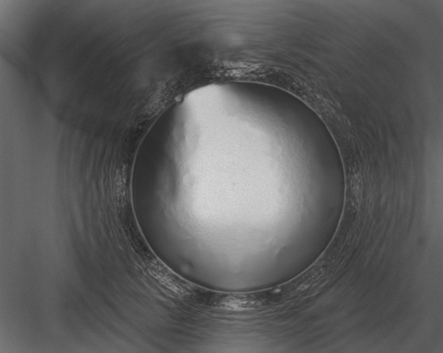 X0000083550657200702240112