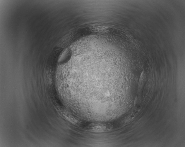 X0000083550658200702240112