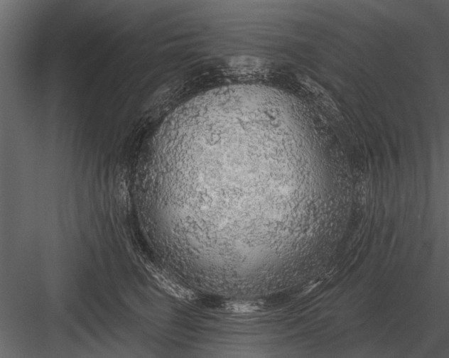 X0000083550662200702240112