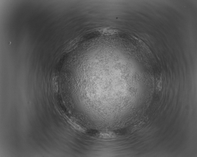 X0000083550666200702240113