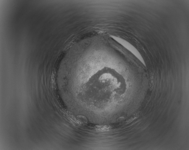 X0000083550667200702240113