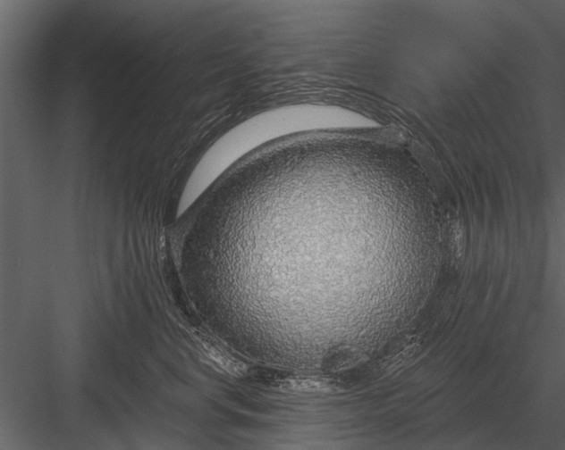 X0000083550668200702240113