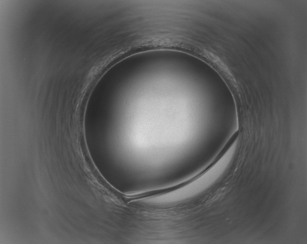 X0000083550673200702240112
