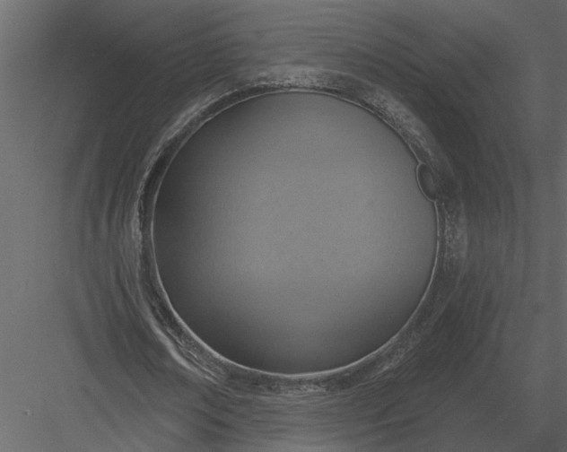 X0000083550674200702240112