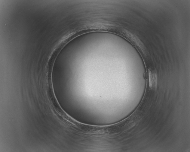 X0000083550675200702240112