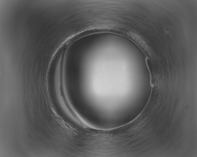 X0000083550676200702240112