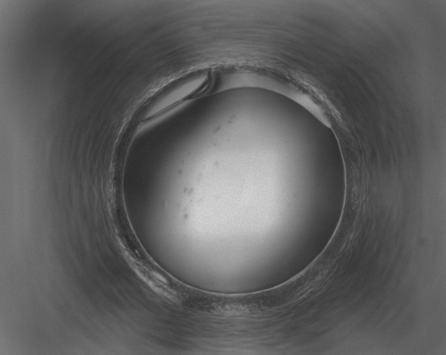 X0000083550677200702240112