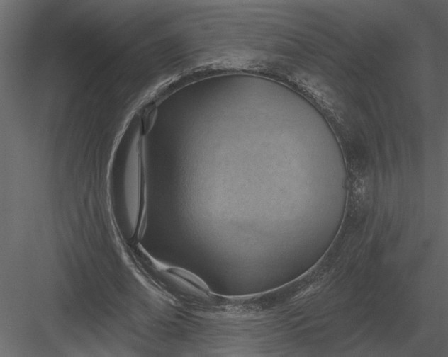 X0000083550678200702240112