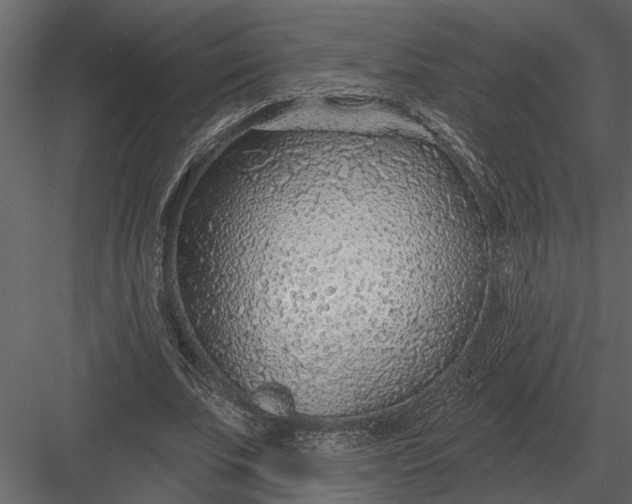 X0000083550679200702240112