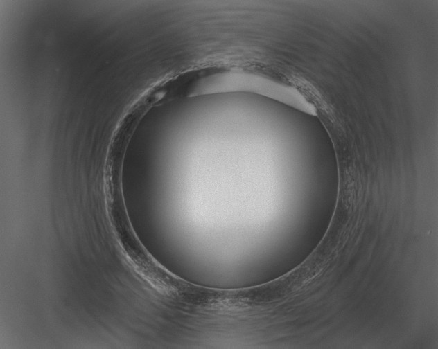 X0000083550680200702240112