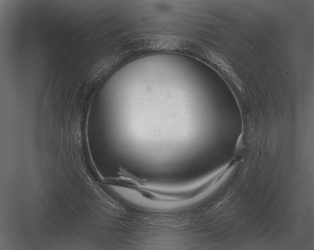 X0000083550681200702240112