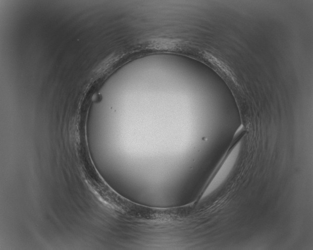 X0000083550682200702240112