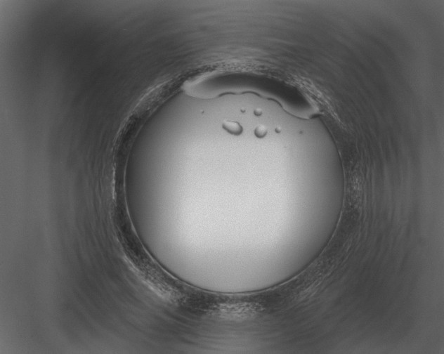 X0000083550686200702240112