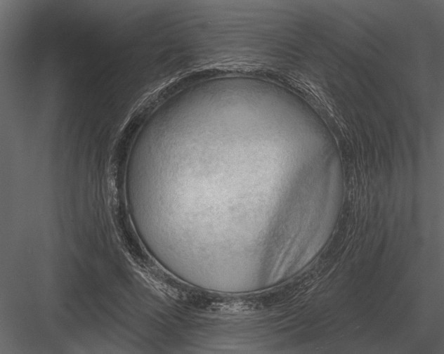 X0000083550688200702240112