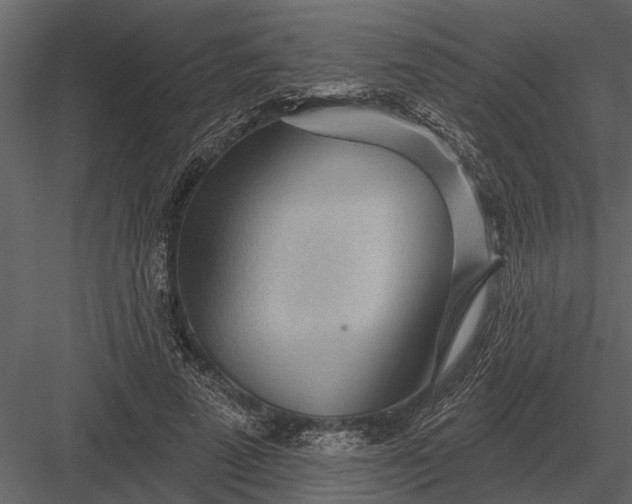 X0000083550689200702240112