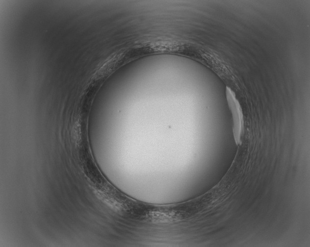 X0000083550690200702240112