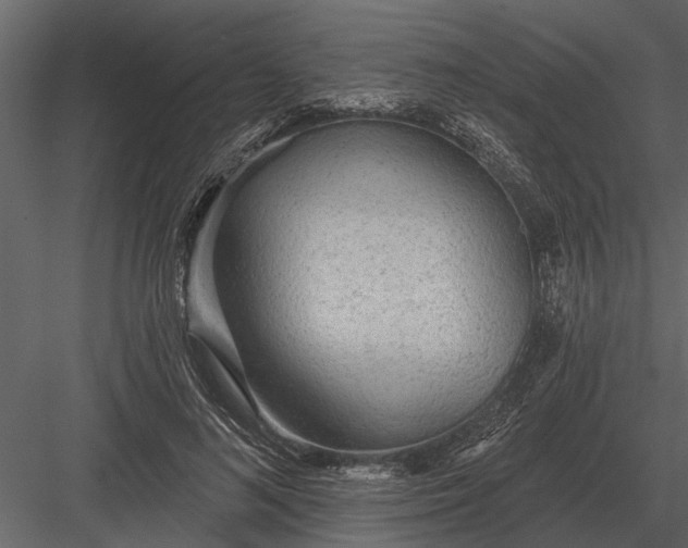 X0000083550692200702240111