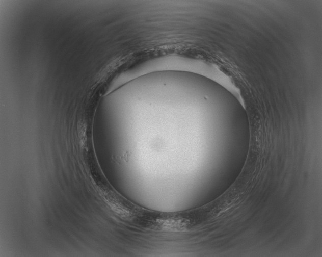 X0000083550693200702240111