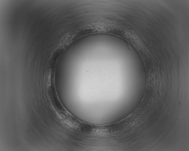 X0000083550694200702240111