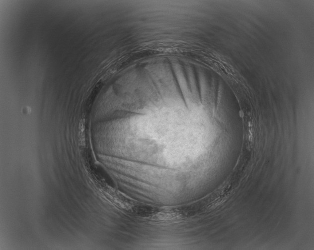 X0000083550696200702240111