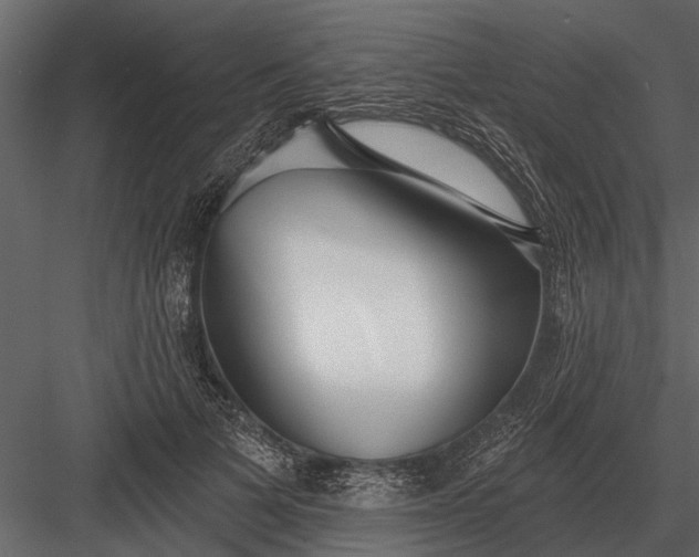 X0000083550697200702240111