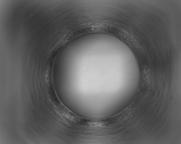 X0000083550698200702240111