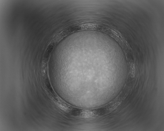 X0000083550701200702240111